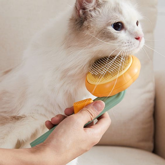 Pet Grooming Brush Comb - Gitelle