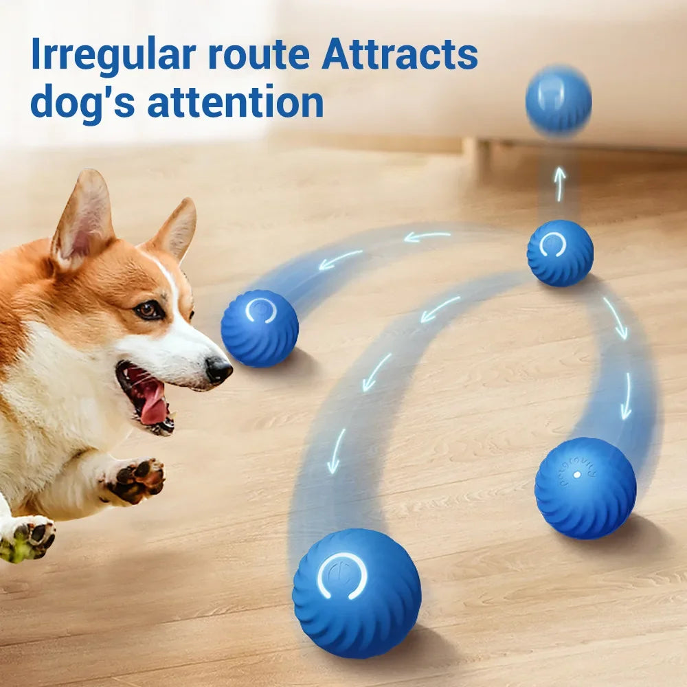 Automatic Smart Teasing Dog Ball - Gitelle
