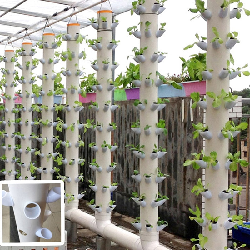 Hydroponics Soilless Plant Grow Cups - Gitelle