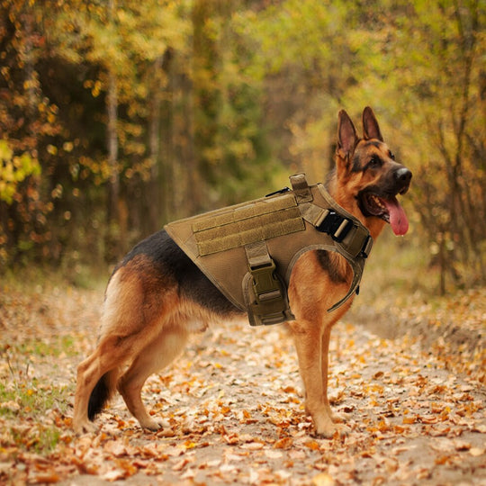 Military Tactical Dog Harness - Gitelle