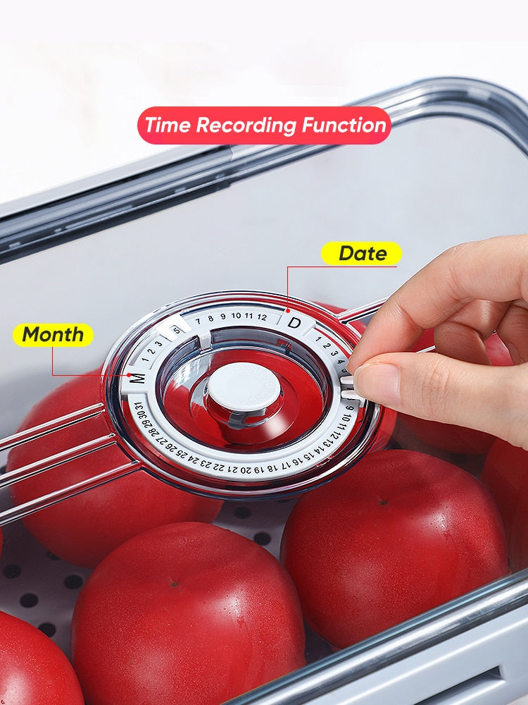 Seal Timer Food Container - Gitelle