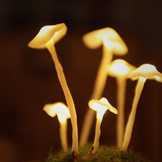 Handmade Mushroom Led Night Lamp - Gitelle