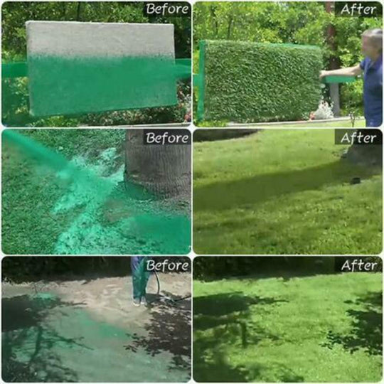 Green Grass Lawn Spray - Gitelle